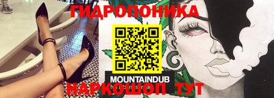 прущие грибы Абинск