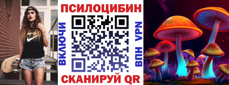 где найти   Москва  Галлюциногенные грибы MAGIC MUSHROOMS 