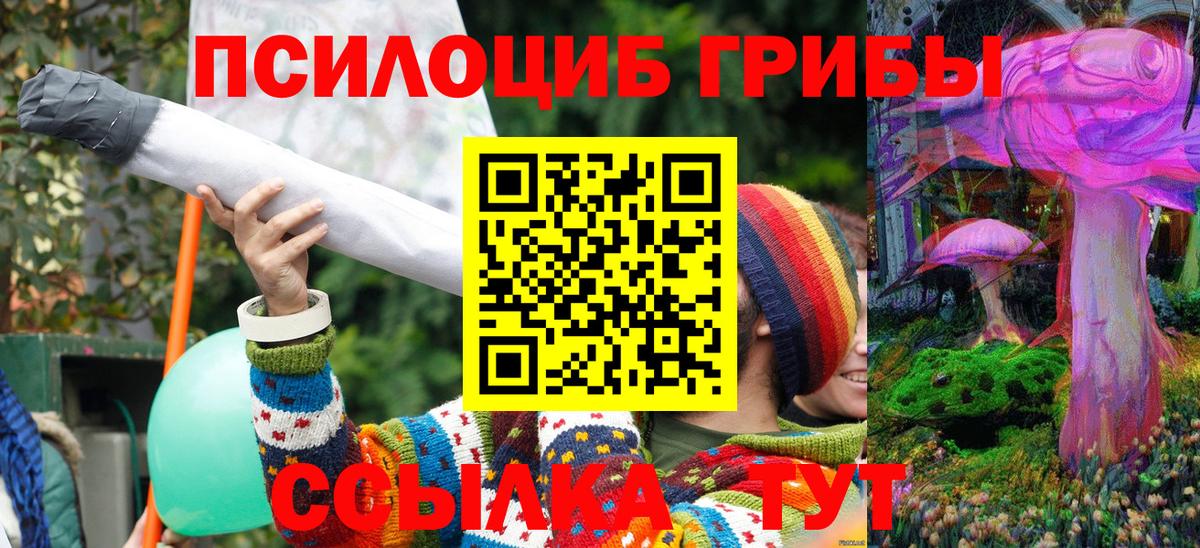 Псилоцибиновые грибы Cubensis  Вход с VPN  Москва  Галлюциногенные грибы Psilocybine cubensis 
