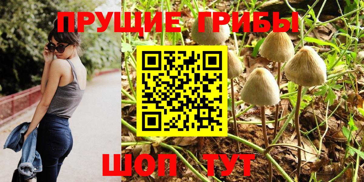 Псилоцибиновые грибы GOLDEN TEACHER Москва